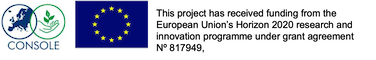 10 - Console.png