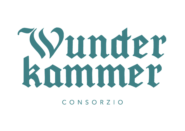 19 - Wunderkammer