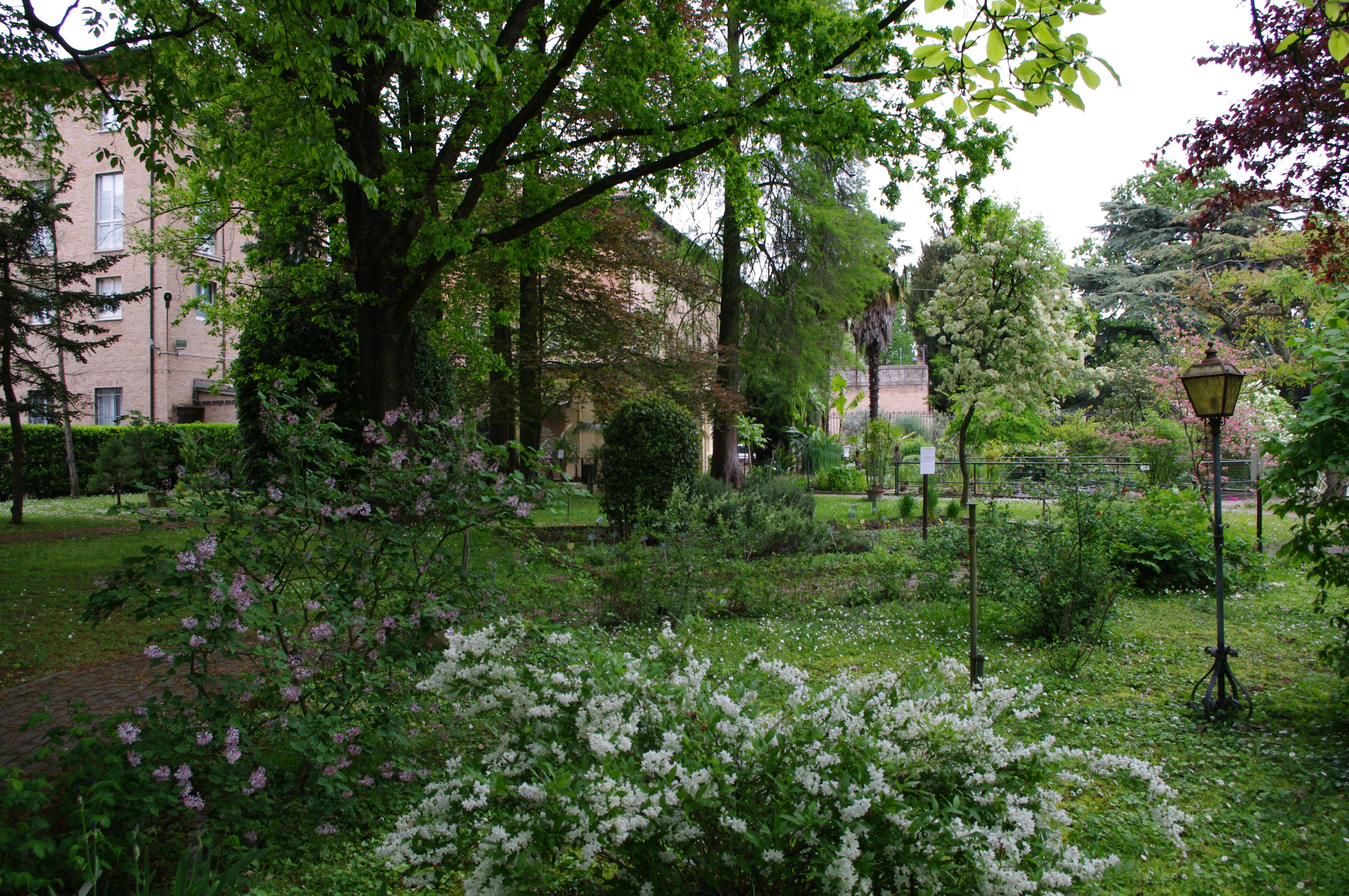 Come ci curavamo: La Natura al nostro fianco