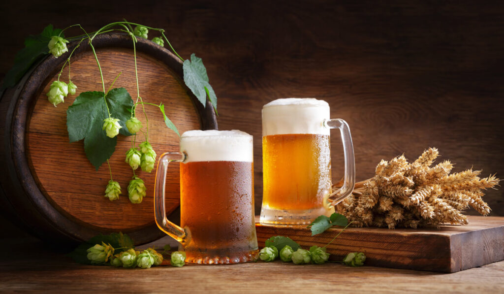 Birrificio BiREN